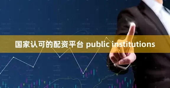 国家认可的配资平台 public institutions