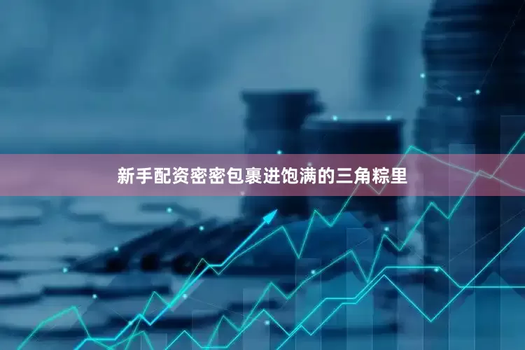 新手配资密密包裹进饱满的三角粽里