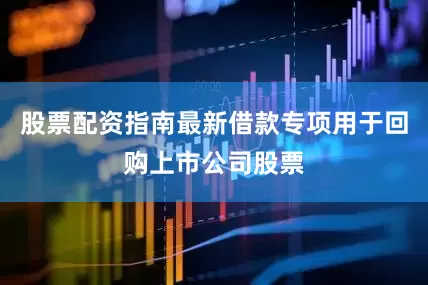 股票配资指南最新借款专项用于回购上市公司股票
