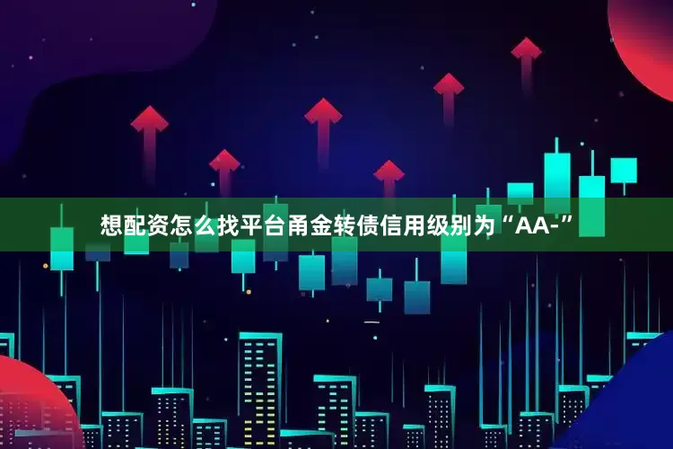 想配资怎么找平台甬金转债信用级别为“AA-”