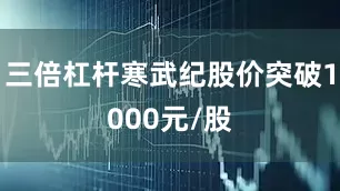 三倍杠杆寒武纪股价突破1000元/股